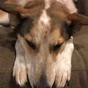 Meet your Posher, Jeff